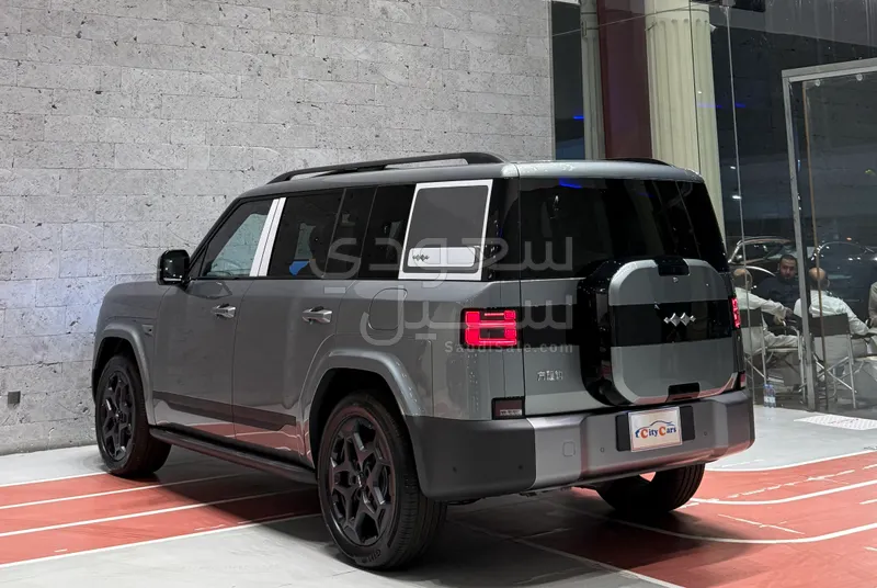 2025 بي واي دي ليوبارد 8