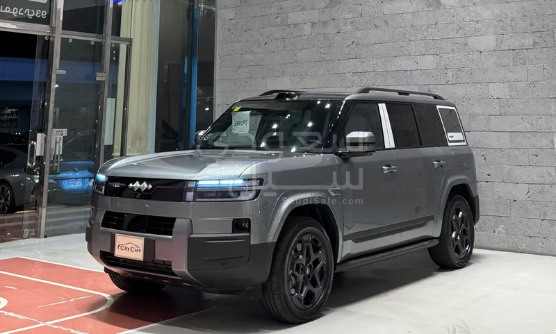 2025 بي واي دي ليوبارد 8