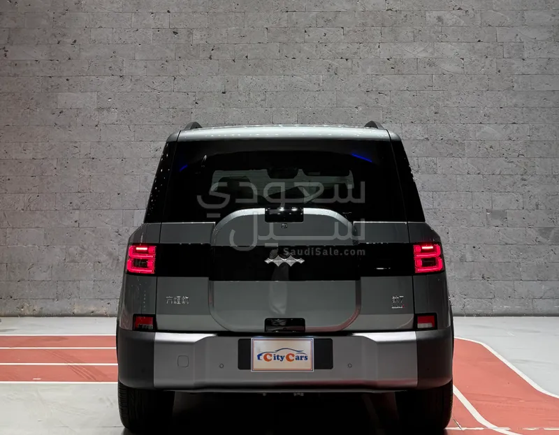 2025 بي واي دي ليوبارد 8