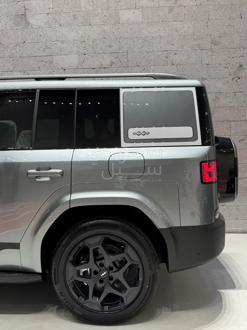 2025 بي واي دي ليوبارد 8