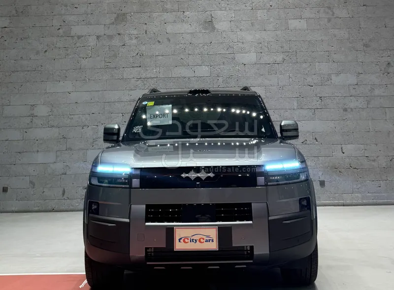 2025 بي واي دي ليوبارد 8