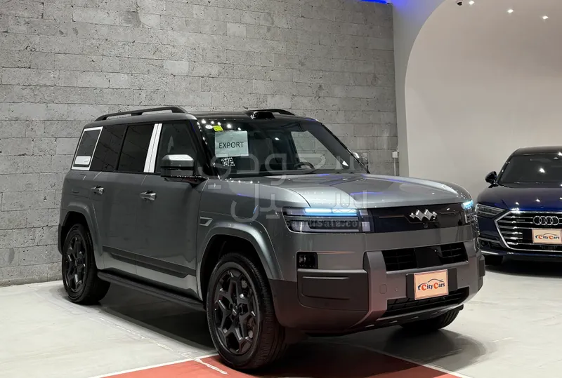 2025 بي واي دي ليوبارد 8