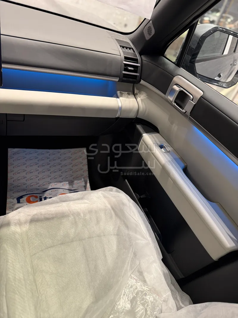 2025 بي واي دي ليوبارد 8