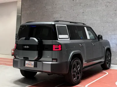 2025 بي واي دي ليوبارد 8