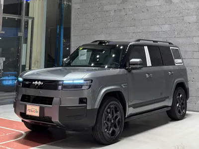 2025 بي واي دي ليوبارد 8