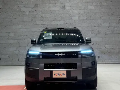 2025 بي واي دي ليوبارد 8