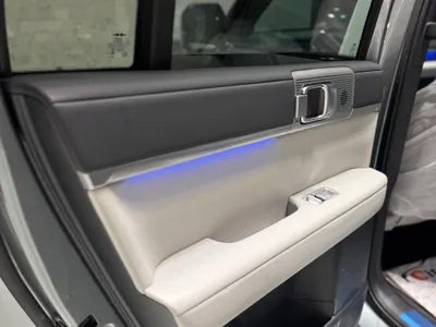 2025 بي واي دي ليوبارد 8