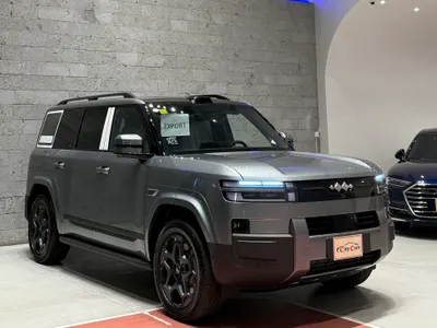 2025 بي واي دي ليوبارد 8