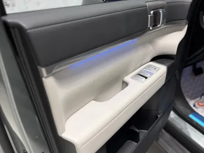 2025 بي واي دي ليوبارد 8