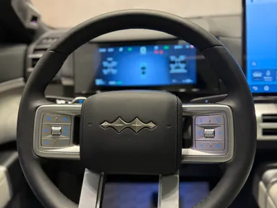 2025 بي واي دي ليوبارد 8