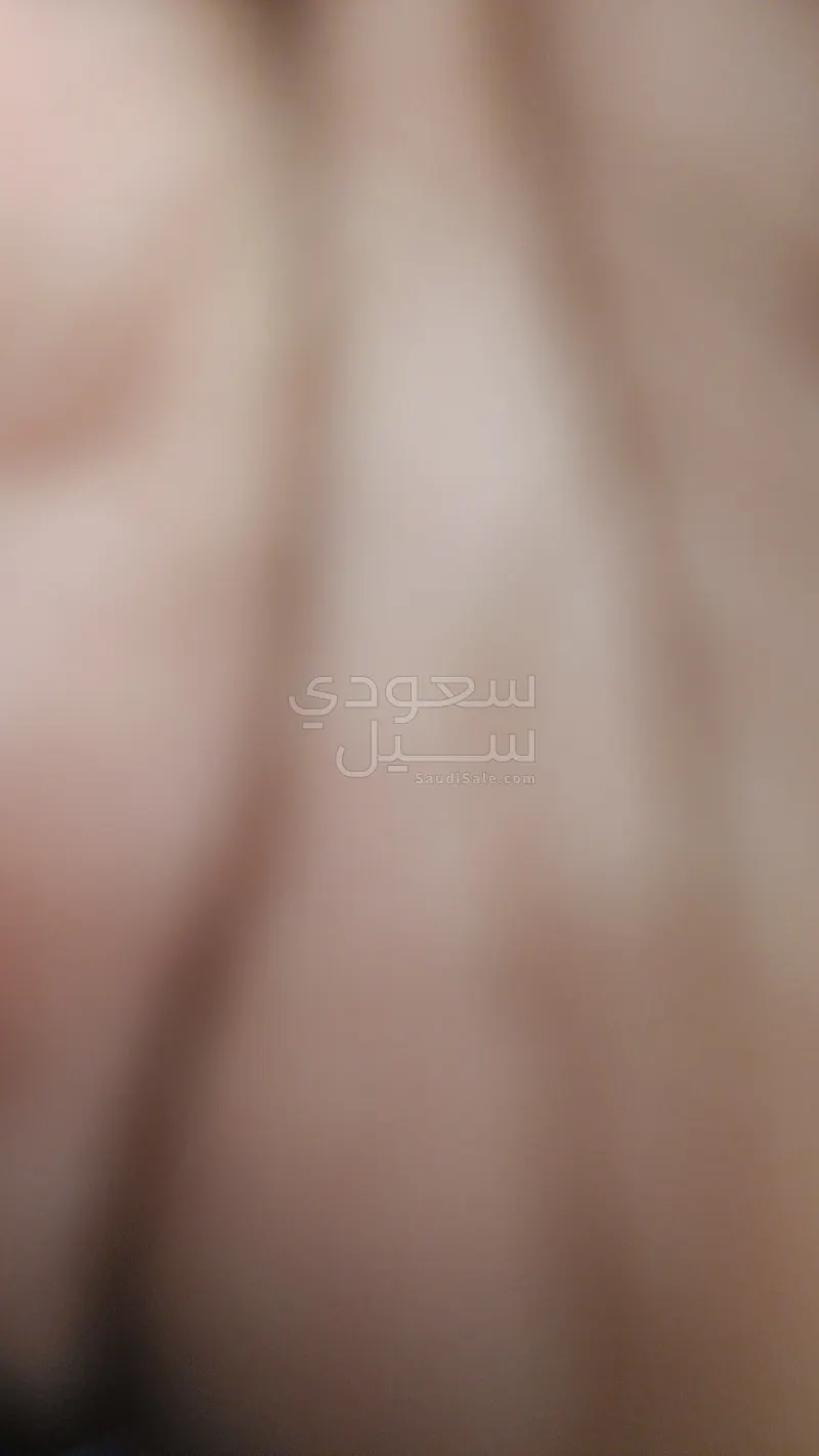 2026 تويوتا كورولا كروس