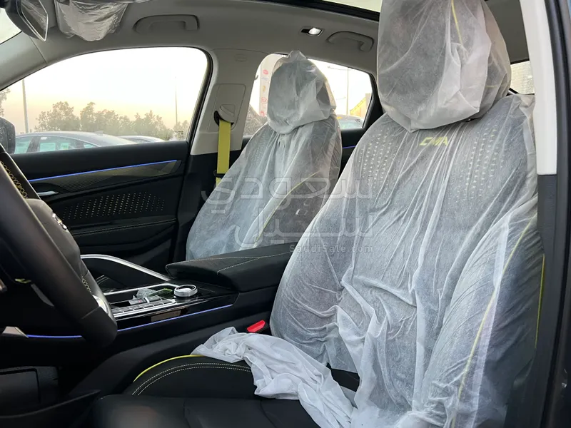 2024 جيلي توجيلا