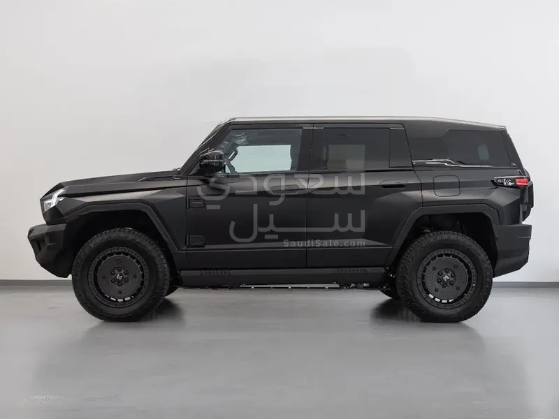 2025 دونج فينج 917 ام هيرو