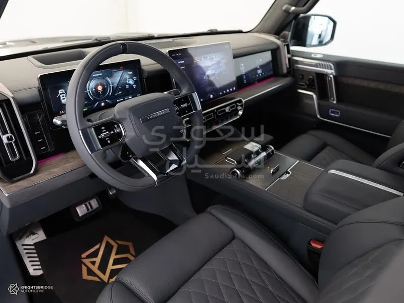 2025 دونج فينج 917 ام هيرو