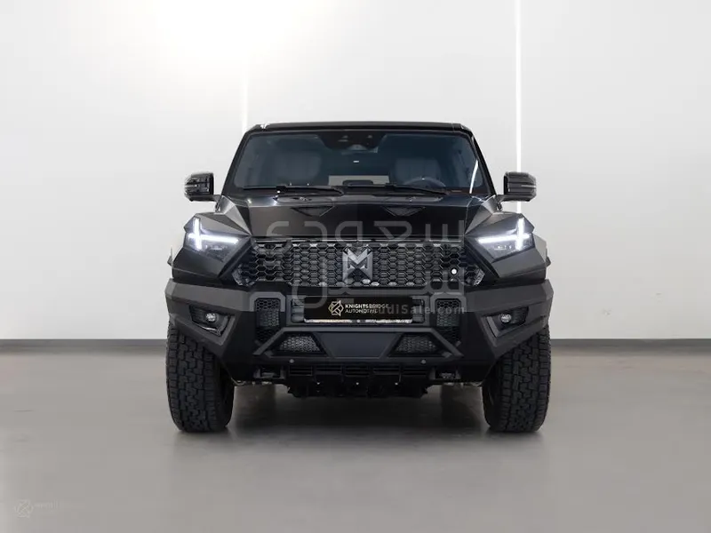 2025 دونج فينج 917 ام هيرو