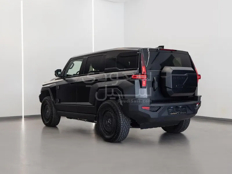 2025 دونج فينج 917 ام هيرو