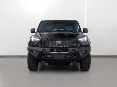 2025 دونج فينج 917 ام هيرو