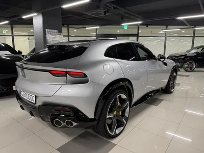 2025 فيراري بوروسانجوي