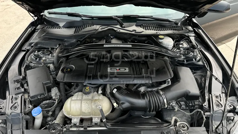 2021 فورد موستانغ جي تي بريموم 1