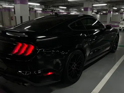 2021 فورد موستانغ جي تي بريموم 1