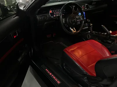 2021 فورد موستانغ جي تي بريموم 1