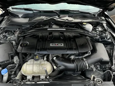 2021 فورد موستانغ جي تي بريموم 1