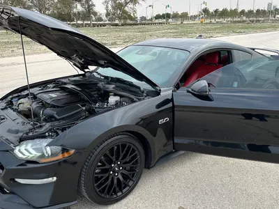 2021 فورد موستانغ جي تي بريموم 1