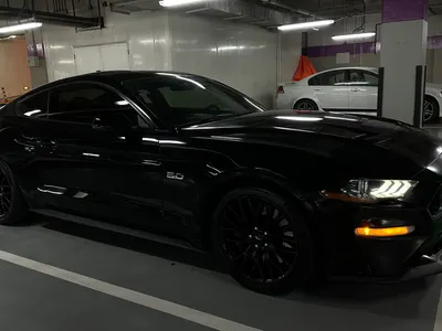 2021 فورد موستانغ جي تي بريموم 1