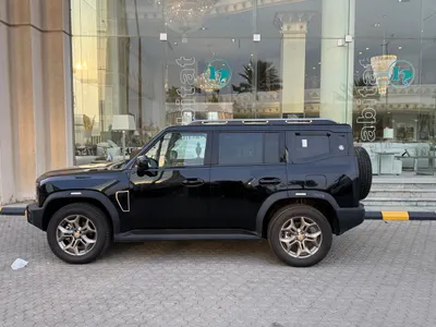 2025 جيتور تي 2