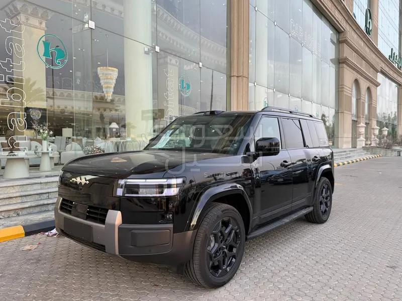 2025 بي واي دي ليوبارد 8