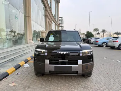 2025 بي واي دي ليوبارد 8