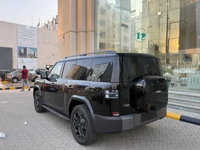 2025 بي واي دي ليوبارد 8