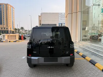 2025 بي واي دي ليوبارد 8