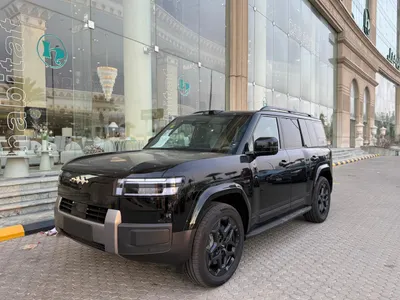 2025 بي واي دي ليوبارد 8