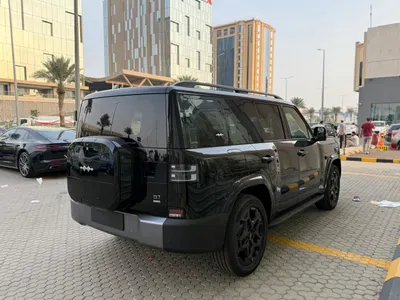 2025 بي واي دي ليوبارد 8