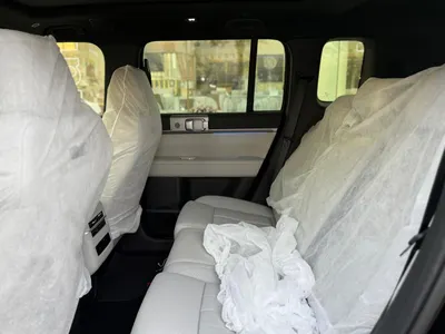 2025 بي واي دي ليوبارد 8