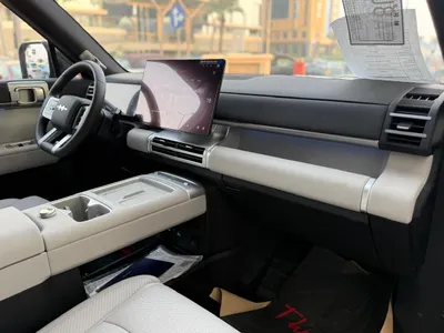 2025 بي واي دي ليوبارد 8