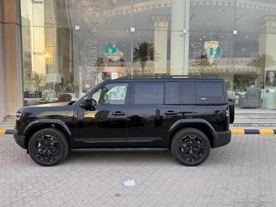 2025 بي واي دي ليوبارد 8