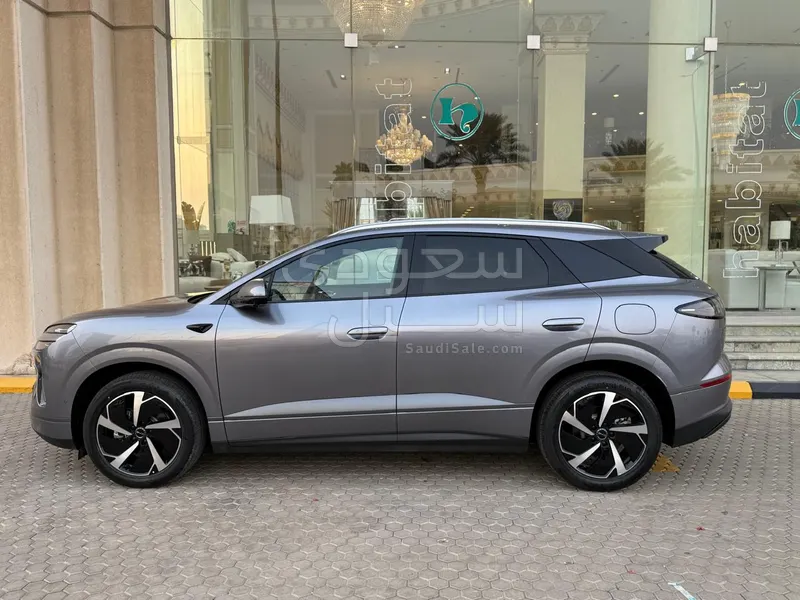 2025 بي واي دي ليوبارد 5