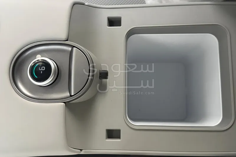 2025 بي واي دي ليوبارد 5