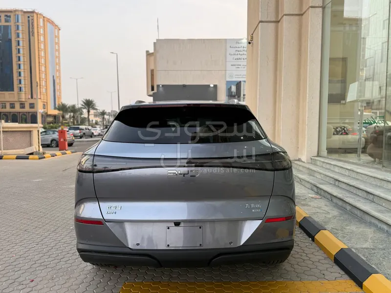 2025 بي واي دي ليوبارد 5