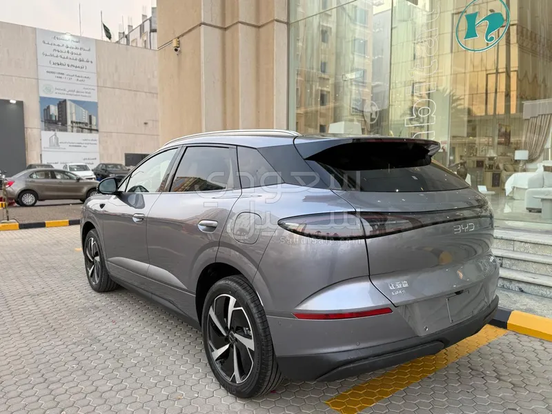 2025 بي واي دي ليوبارد 5