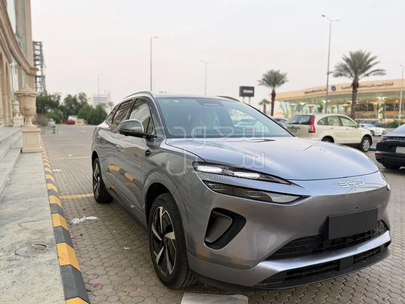 2025 بي واي دي ليوبارد 5