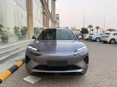 2025 بي واي دي ليوبارد 5