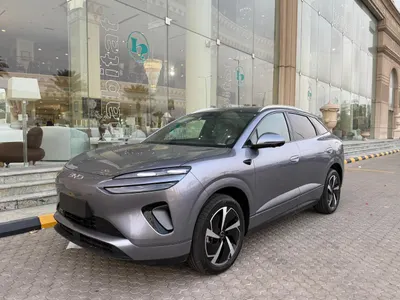 2025 بي واي دي ليوبارد 5