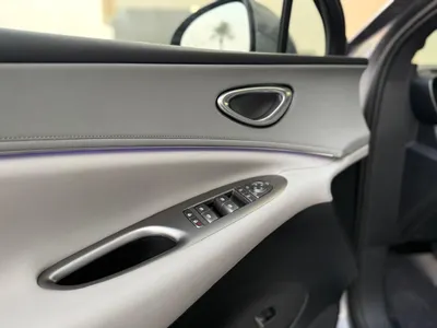 2025 بي واي دي ليوبارد 5