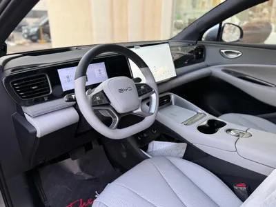 2025 بي واي دي ليوبارد 5