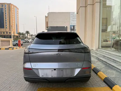 2025 بي واي دي ليوبارد 5