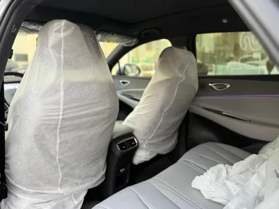 2025 بي واي دي ليوبارد 5