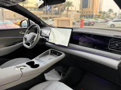 2025 بي واي دي ليوبارد 5